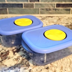 Tupperware Rock and Seal Freezer Containers